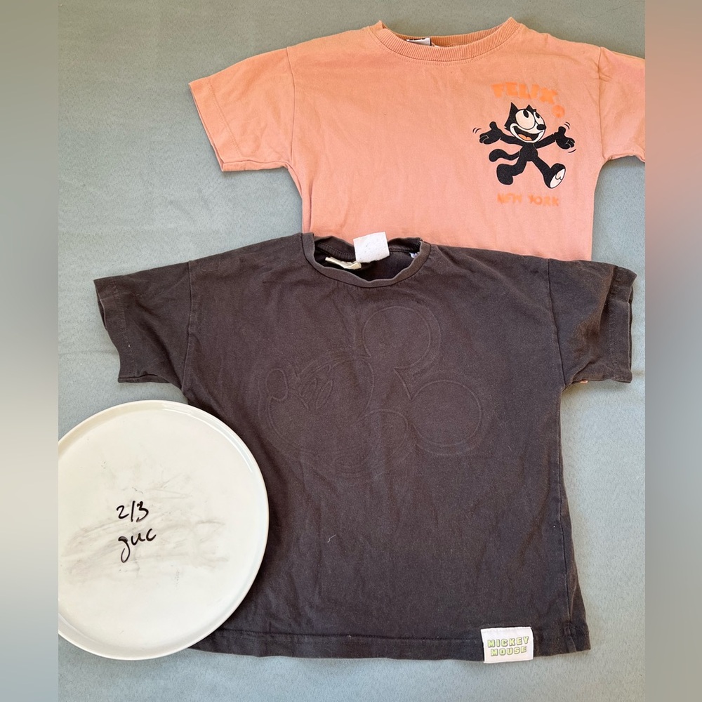 Zara boys tee bundle